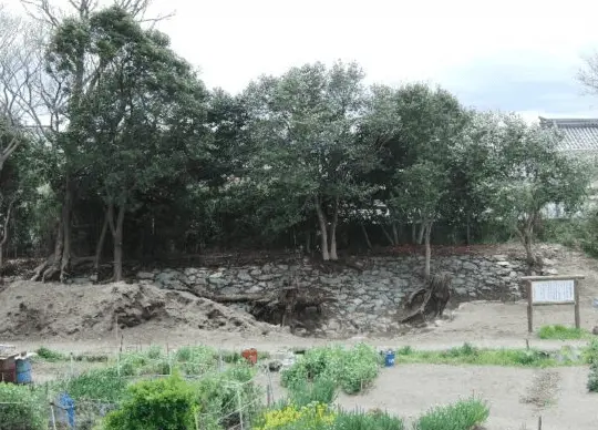 大湊波除堤石垣跡