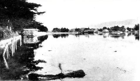 神宮貯木場 埋立て前