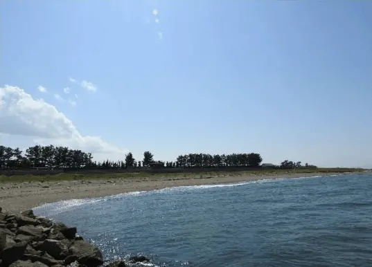 鷲ヶ浜